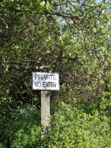 No entry - orchard in Teynham, by S Palmer