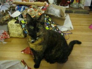 Christmas past - Biscuit inspects the presents